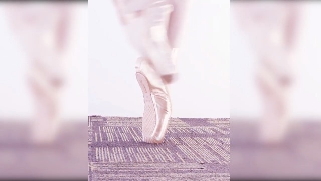 Amazon.com | IJONDA Adult Ballet Pointe Shoes for Girls Women with
